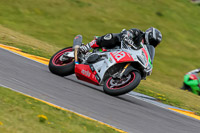PJ-Motorsport-2019;anglesey-no-limits-trackday;anglesey-photographs;anglesey-trackday-photographs;enduro-digital-images;event-digital-images;eventdigitalimages;no-limits-trackdays;peter-wileman-photography;racing-digital-images;trac-mon;trackday-digital-images;trackday-photos;ty-croes